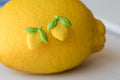 Citrus Studs